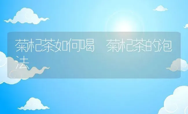 菊杞茶如何喝 菊杞茶的泡法 | 养殖资料投稿