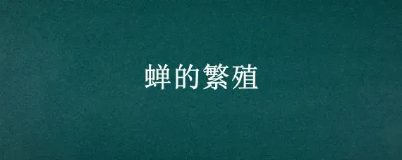 蝉的繁殖