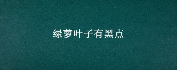 绿萝叶子有黑点