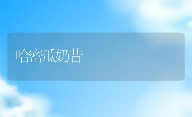 苦瓜汁的功效与作用 喝苦瓜汁的好处与坏处 | 养殖资料投稿