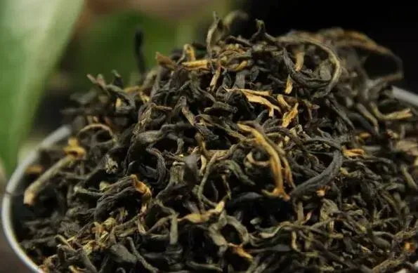 古树红茶适合什么人喝？