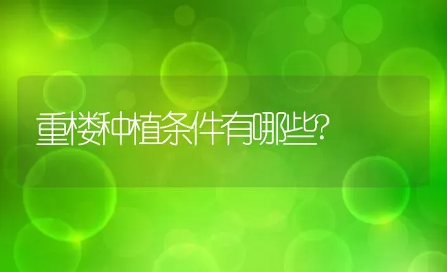 重楼种植条件有哪些? | 养殖资讯