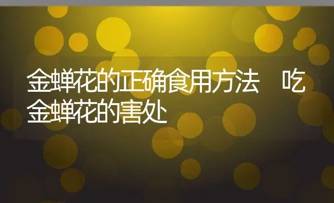 金蝉花的正确食用方法 吃金蝉花的害处 | 养殖资料投稿