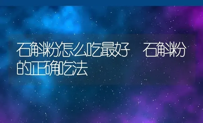 石斛粉怎么吃最好 石斛粉的正确吃法 | 养殖资料投稿