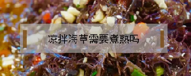 凉拌海草需要煮熟吗