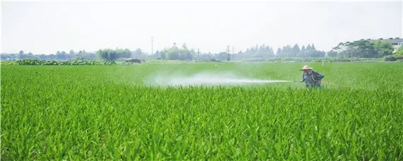 噻菌铜不能和什么农药混用