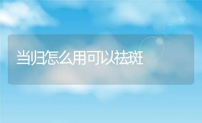 当归怎么用可以祛斑 | 养殖资料投稿