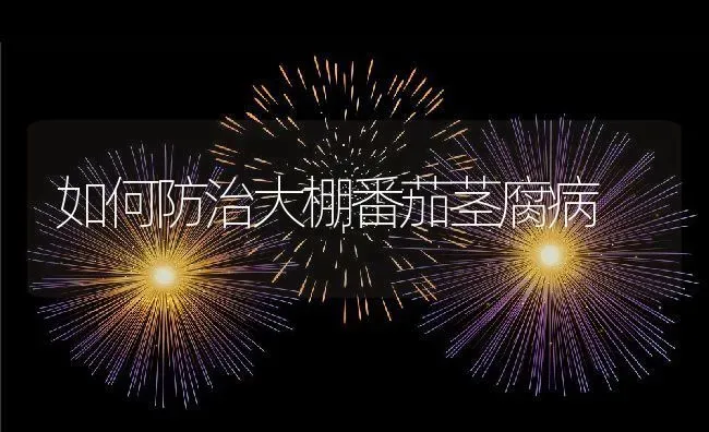 如何防治大棚番茄茎腐病 | 养殖资料投稿