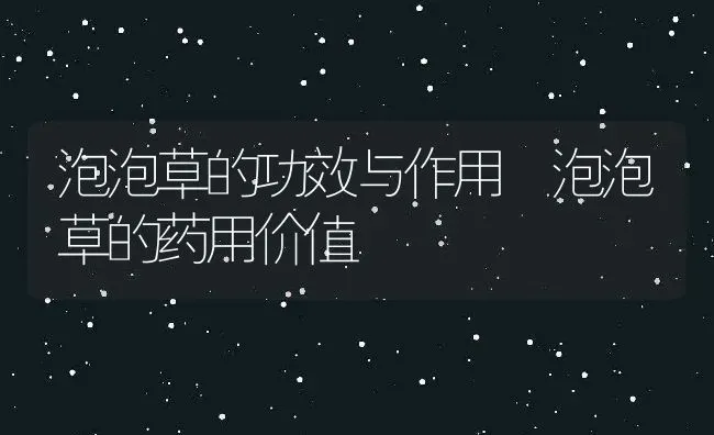 泡泡草的功效与作用 泡泡草的药用价值 | 养殖资料投稿