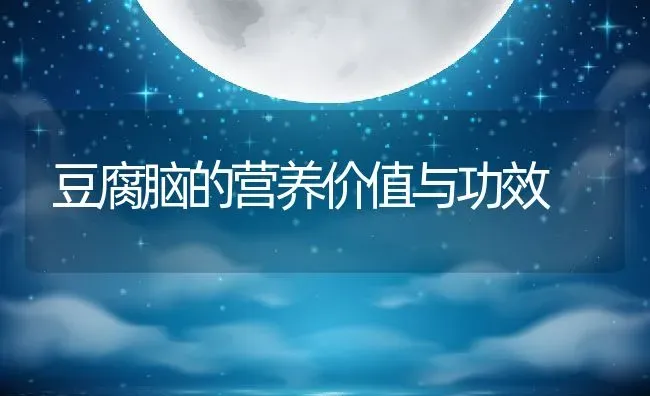 红茶菌菌种图片 红茶菌怎么养 | 养殖资料投稿