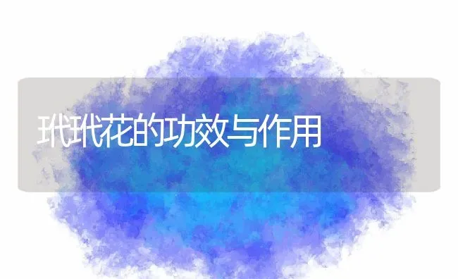 玳玳花的功效与作用 | 养殖资料投稿