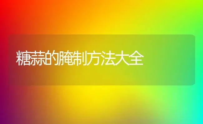 糖蒜的腌制方法大全 | 养殖资料投稿