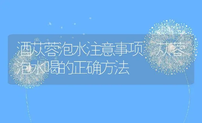 酒苁蓉泡水注意事项 苁蓉泡水喝的正确方法 | 养殖资料投稿