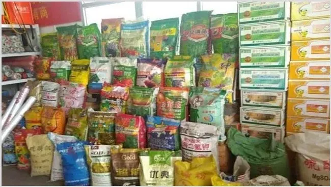 在农村如何赚钱 | 养殖项目前景