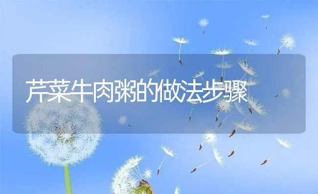 芹菜牛肉粥的做法步骤 | 养殖资料投稿