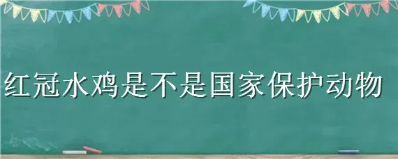 红冠水鸡是不是国家保护动物