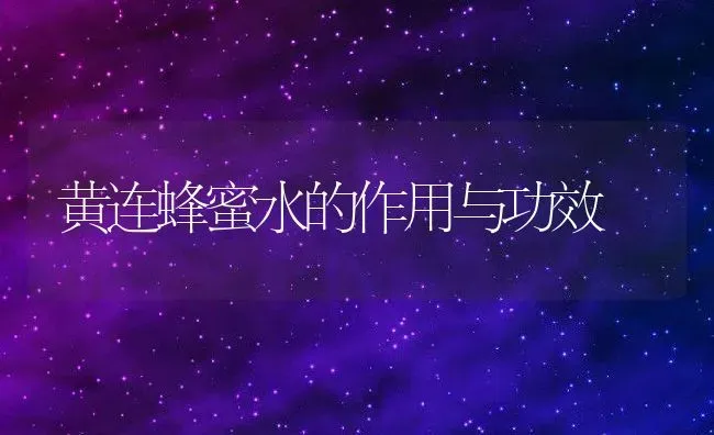 黄连蜂蜜水的作用与功效 | 养殖资料投稿