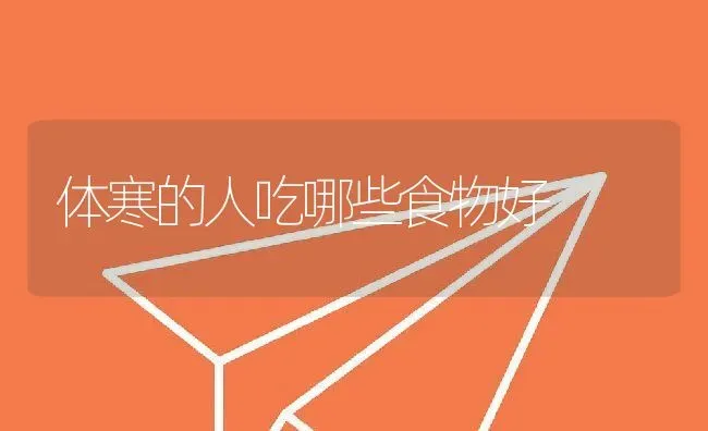 体寒的人吃哪些食物好 | 养殖资料投稿