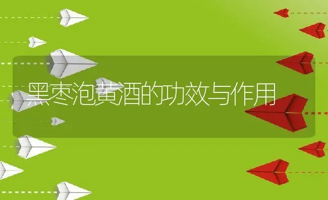 黑枣泡黄酒的功效与作用 | 养殖资料投稿