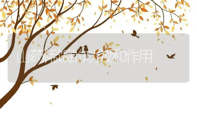 猫眼草的功效与作用 | 养殖资料投稿