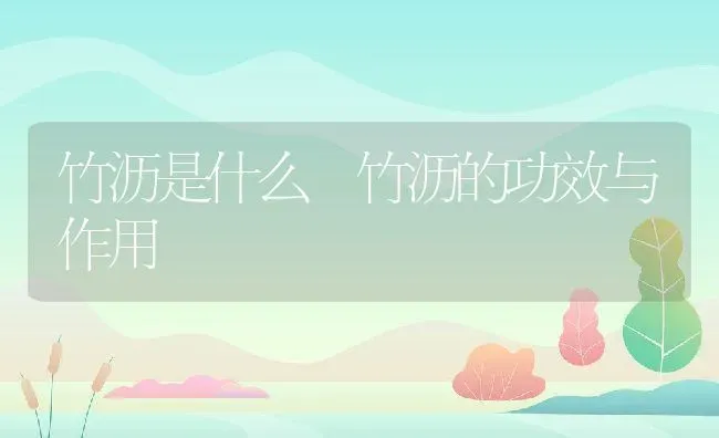 竹沥是什么 竹沥的功效与作用 | 养殖资料投稿