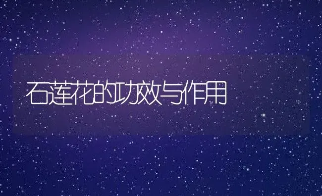 石莲花的功效与作用 | 养殖资料投稿