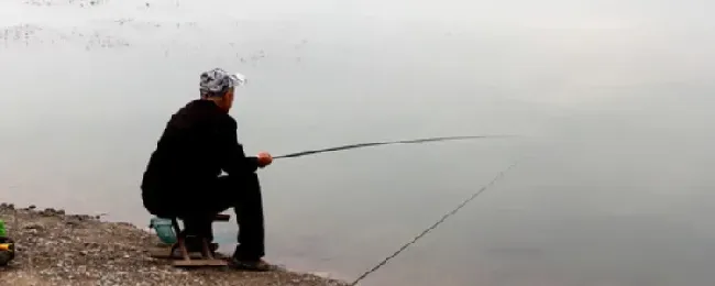 水库钓鲫鱼选什么位置？
