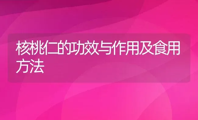 核桃仁的功效与作用及食用方法 | 养殖资料投稿