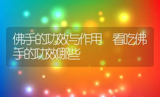 佛手的功效与作用 看吃佛手的功效哪些 | 养殖资料投稿