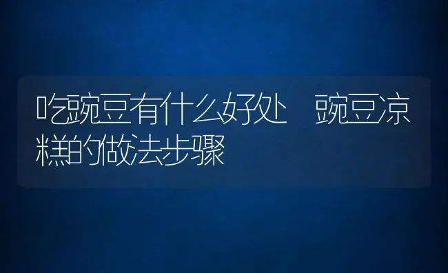 吃豌豆有什么好处 豌豆凉糕的做法步骤 | 养殖资料投稿