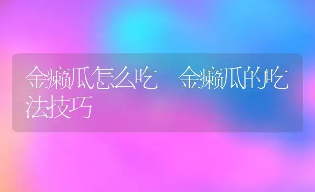 金癞瓜怎么吃 金癞瓜的吃法技巧 | 养殖资料投稿