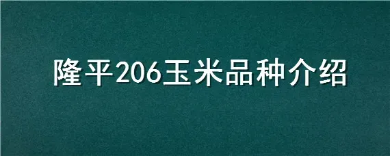 隆平206玉米品种介绍