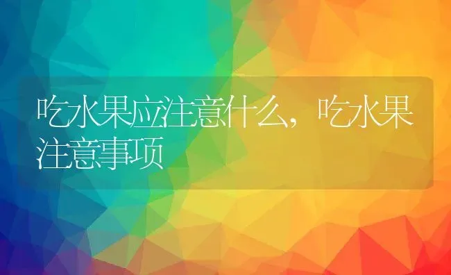 碰碰香怎么养 碰碰香的养殖方法 | 养殖资料投稿