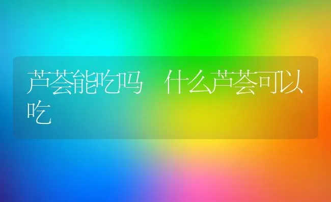 芦荟能吃吗 什么芦荟可以吃 | 养殖资料投稿