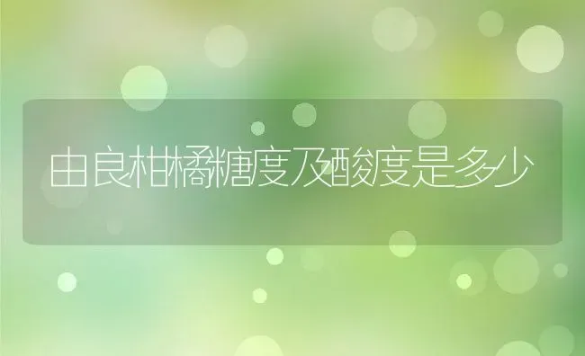 由良柑橘糖度及酸度是多少 | 养殖资讯