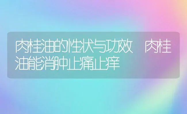 肉桂油的性状与功效 肉桂油能消肿止痛止痒 | 养殖资料投稿