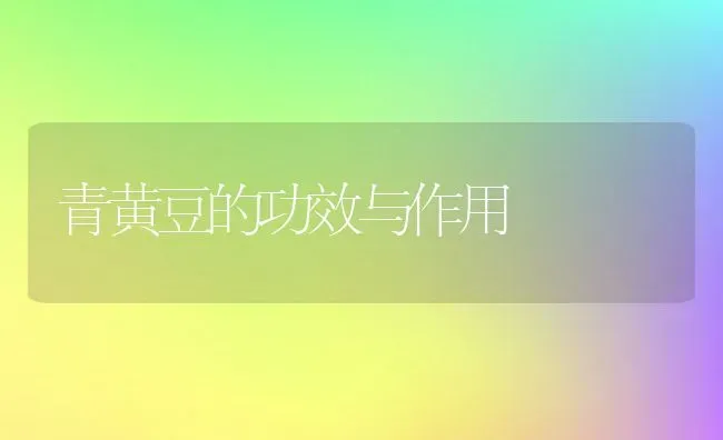 李子的食疗作用 李子不能与哪些食物同吃 | 养殖资料投稿