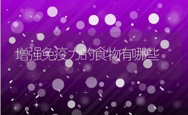 增强免疫力的食物有哪些 | 养殖资料投稿