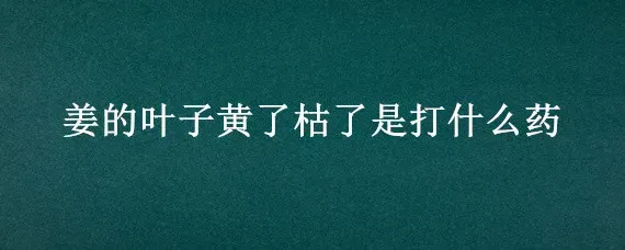 姜的叶子黄了枯了是打什么药