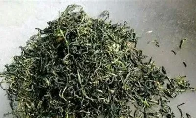 蒲公英茶哪些人不宜喝 蒲公英茶的副作用