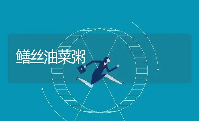 鳝丝油菜粥 | 养殖资讯