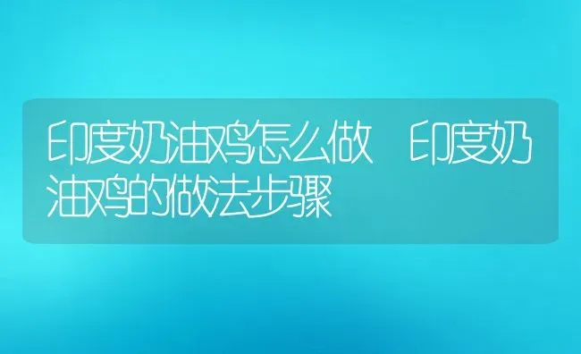 印度奶油鸡怎么做 印度奶油鸡的做法步骤 | 养殖资料投稿