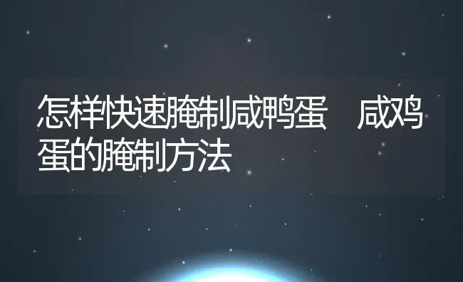 怎样快速腌制咸鸭蛋 咸鸡蛋的腌制方法 | 养殖资料投稿