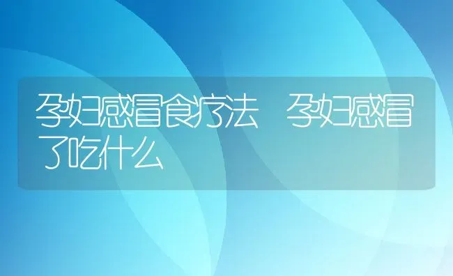 孕妇感冒食疗法 孕妇感冒了吃什么 | 养殖资料投稿