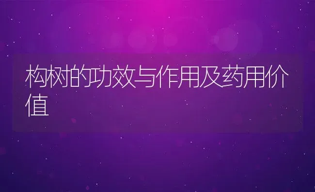 构树的功效与作用及药用价值 | 养殖资料投稿