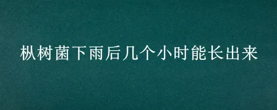 枞树菌下雨后几个小时能长出来