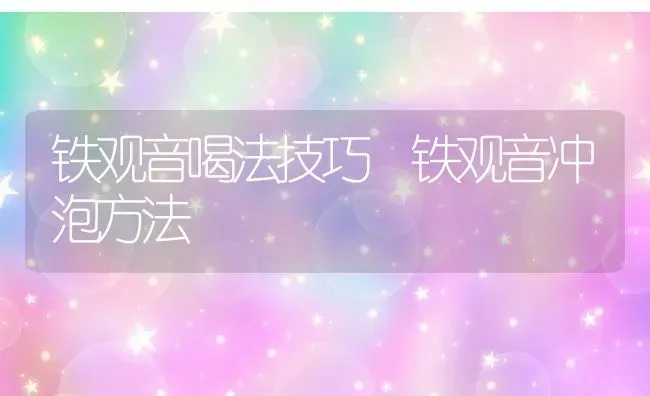 铁观音喝法技巧 铁观音冲泡方法 | 养殖资料投稿