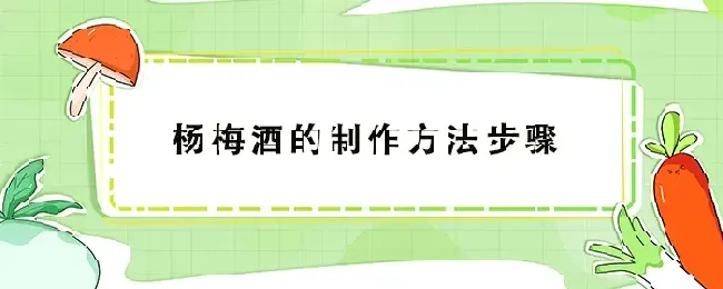 杨梅酒的制作方法步骤