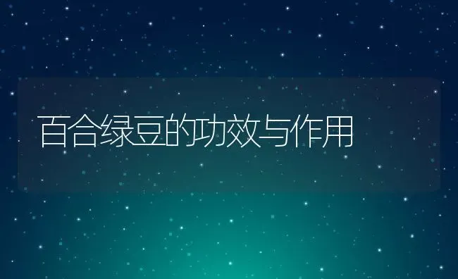 百合绿豆的功效与作用 | 养殖资讯