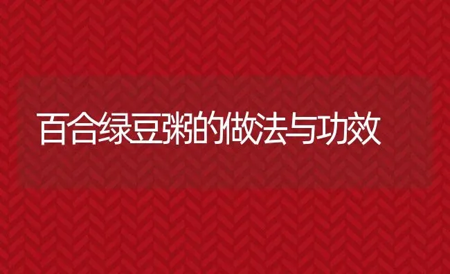 百合绿豆粥的做法与功效 | 养殖资讯